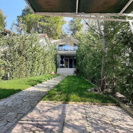 Villa Leyland Golem  Εξωτερικό φωτογραφία