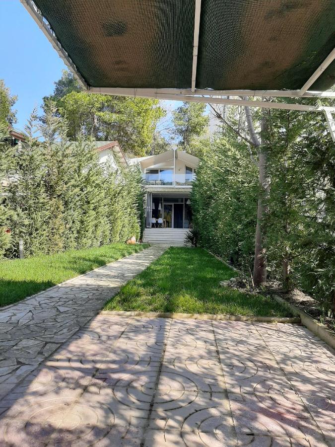 Villa Leyland Golem  Εξωτερικό φωτογραφία